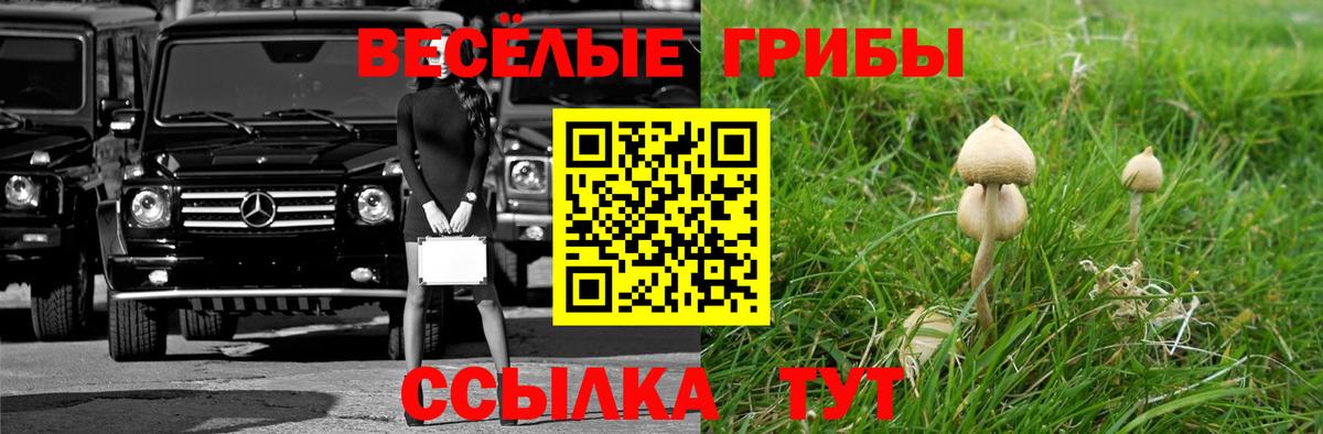 Галлюциногенные грибы Magic Shrooms Луховицы