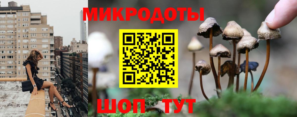 Луховицы  Галлюциногенные грибы прущие грибы  Вход с VPN 